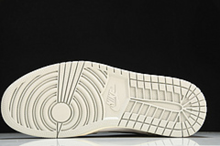 Air Jordan 1 High OG “Elephant Print” DZ5485-052