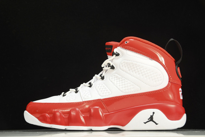 Air Jordan 9 Retro ''Gym Red'' 302370-160