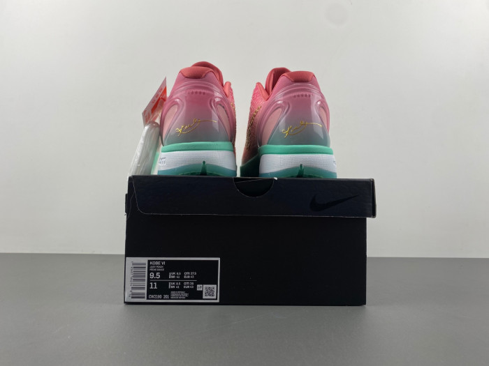 KOBE Zoom Kobe 6 ZK6 CM2190-201