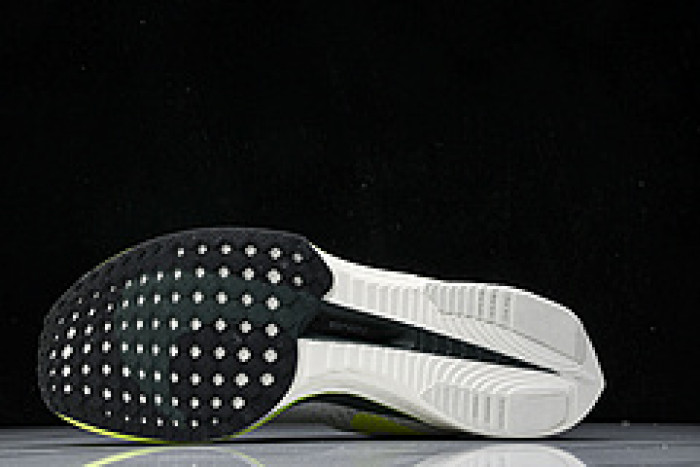 Nk Zoomx Vaporfly FZ4017-100