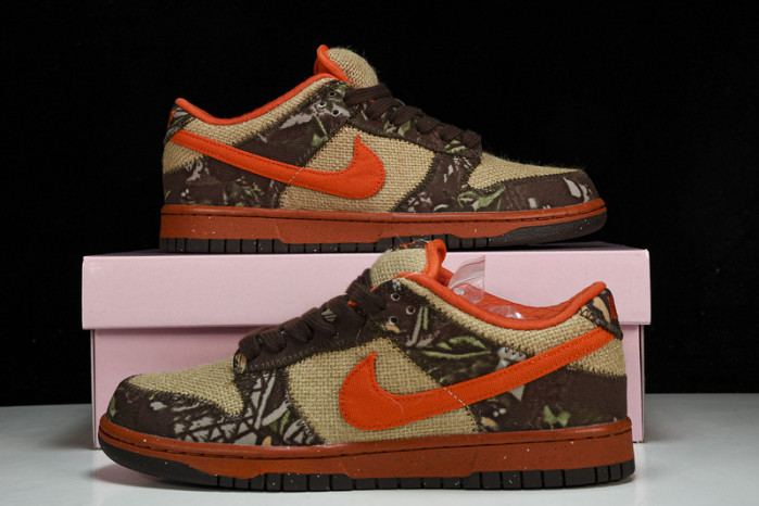 NIKE DUNK LOW PRO SB 304292-281