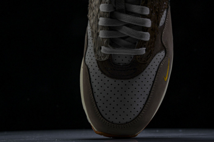 Division Street x Nike Air Max 1 "Oregon Ducks” HQ2639-100