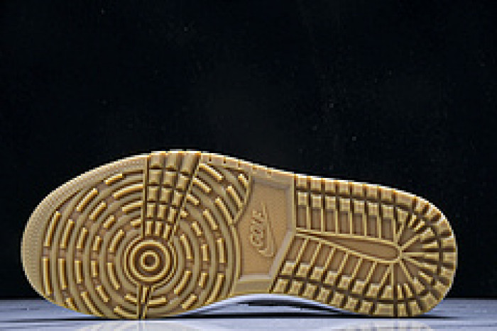 Air Jordan 1 Low Golf DD9315-111