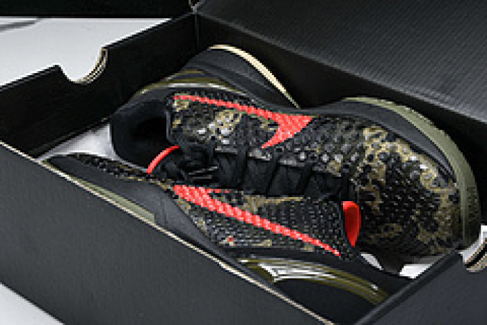 Nike Kobe 6 Protro “Italian Camo” FQ3546-001