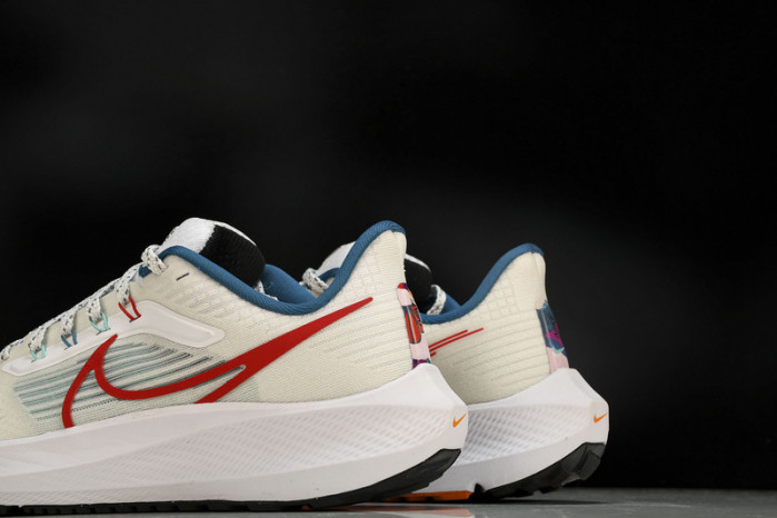 Nk Air Zoom Pegasus 39 FD4322-161