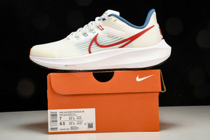 Nk Air Zoom Pegasus 39 FD4322-161