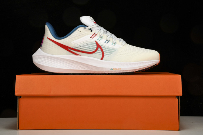 Nk Air Zoom Pegasus 39 FD4322-161