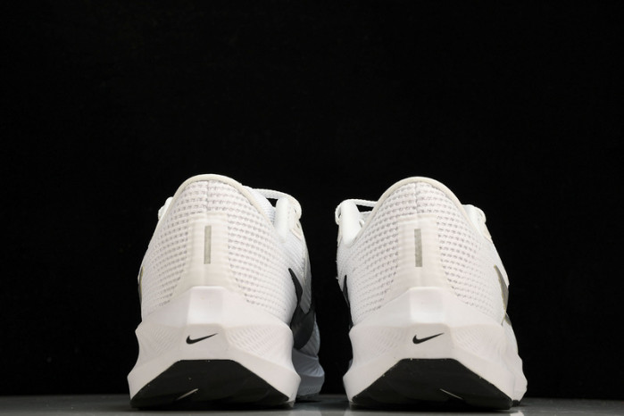 NK Air Zoom Pegasus 40 DV3853-102