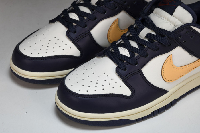 NK DUNK LOW FV8106-181