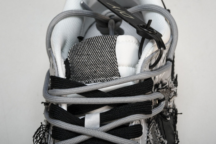 NIKE DUNK LOW DJ6188 101