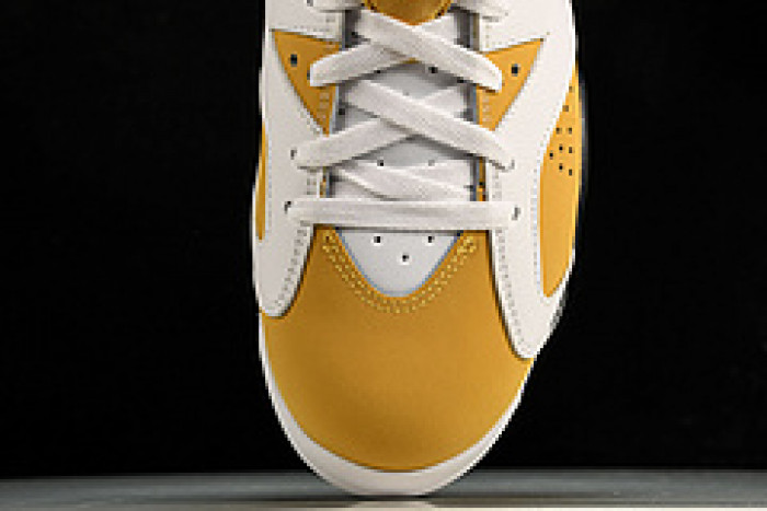 Air Jordan 6 “Yellow Ochre” CT8529-170