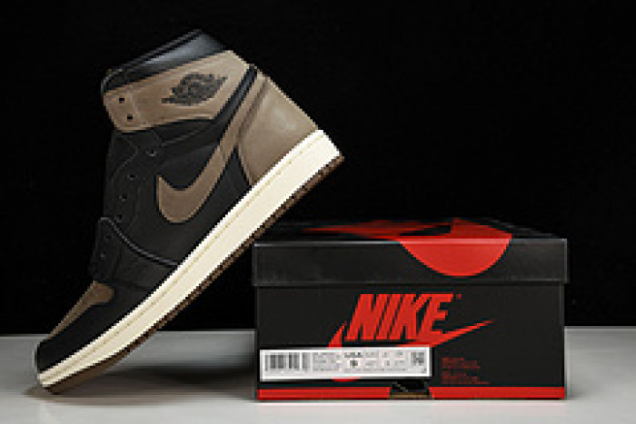 Air Jordan 1 High OG "Palomino" DZ5485-020