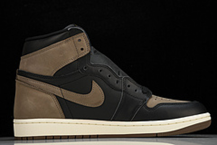 Air Jordan 1 High OG "Palomino" DZ5485-020