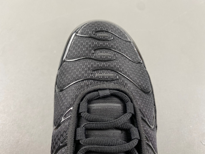 Nike Air Max Plu 604133-050