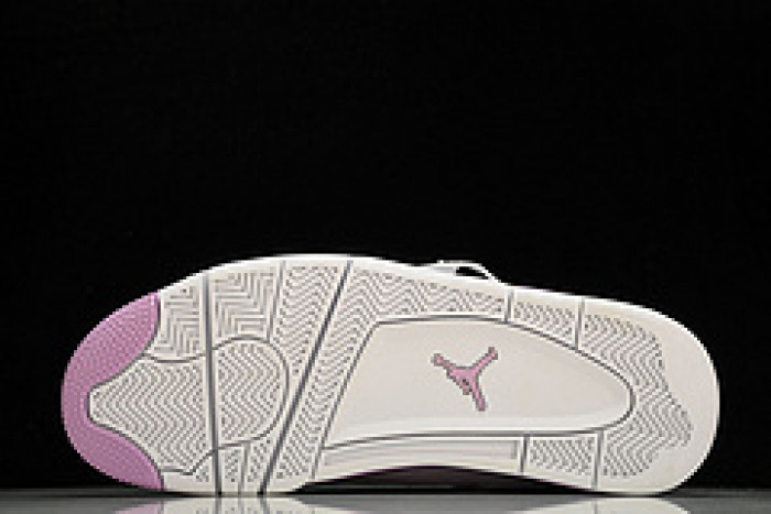Air Jordan 4 AJ4 RETRO CT8527-116