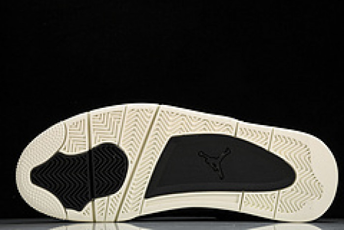 Air Jordan 4 819139-010