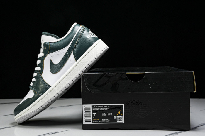 Air Jordan 1 Low FQ7687-300