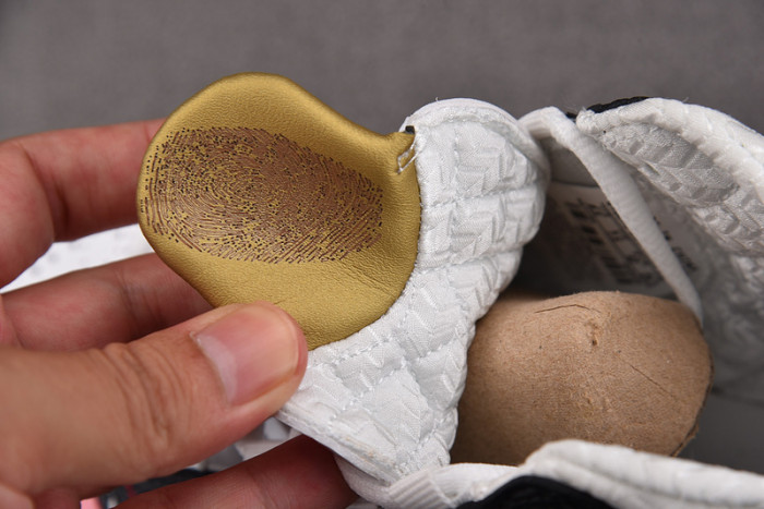 Titan x Air Jordan 23 318376-061