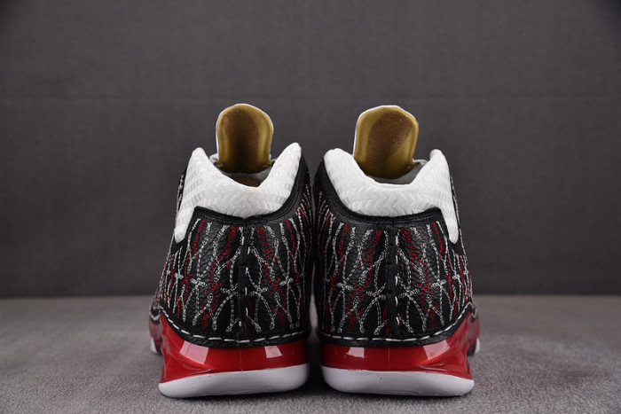 Titan x Air Jordan 23 318376-061