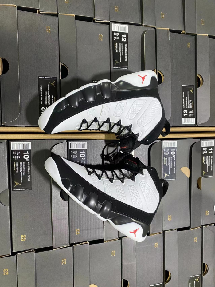 Air Jordan 9 302370-112