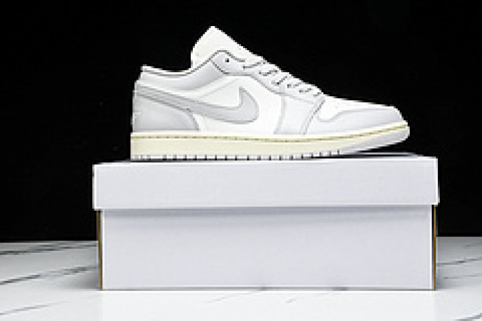 Air Jordan 1 Low DC0774-103