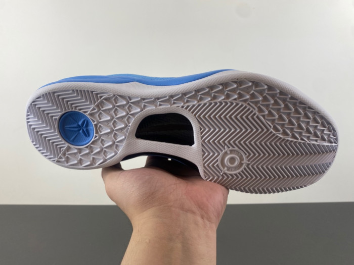 Nike Kobe 8 Protro TB HM6469-401